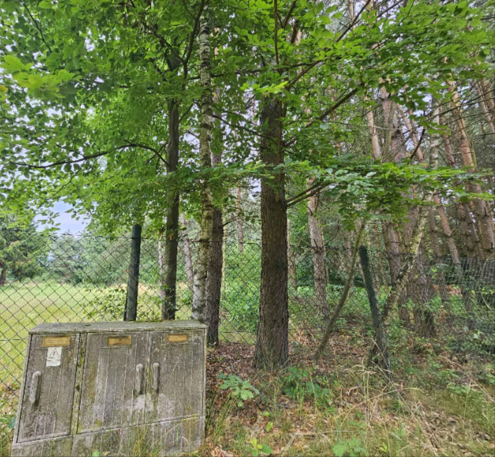 Działka budowlana (6000 m2) JEZIORO/LAS (Drogoszowice) Drogoszowice - zdjęcie 12