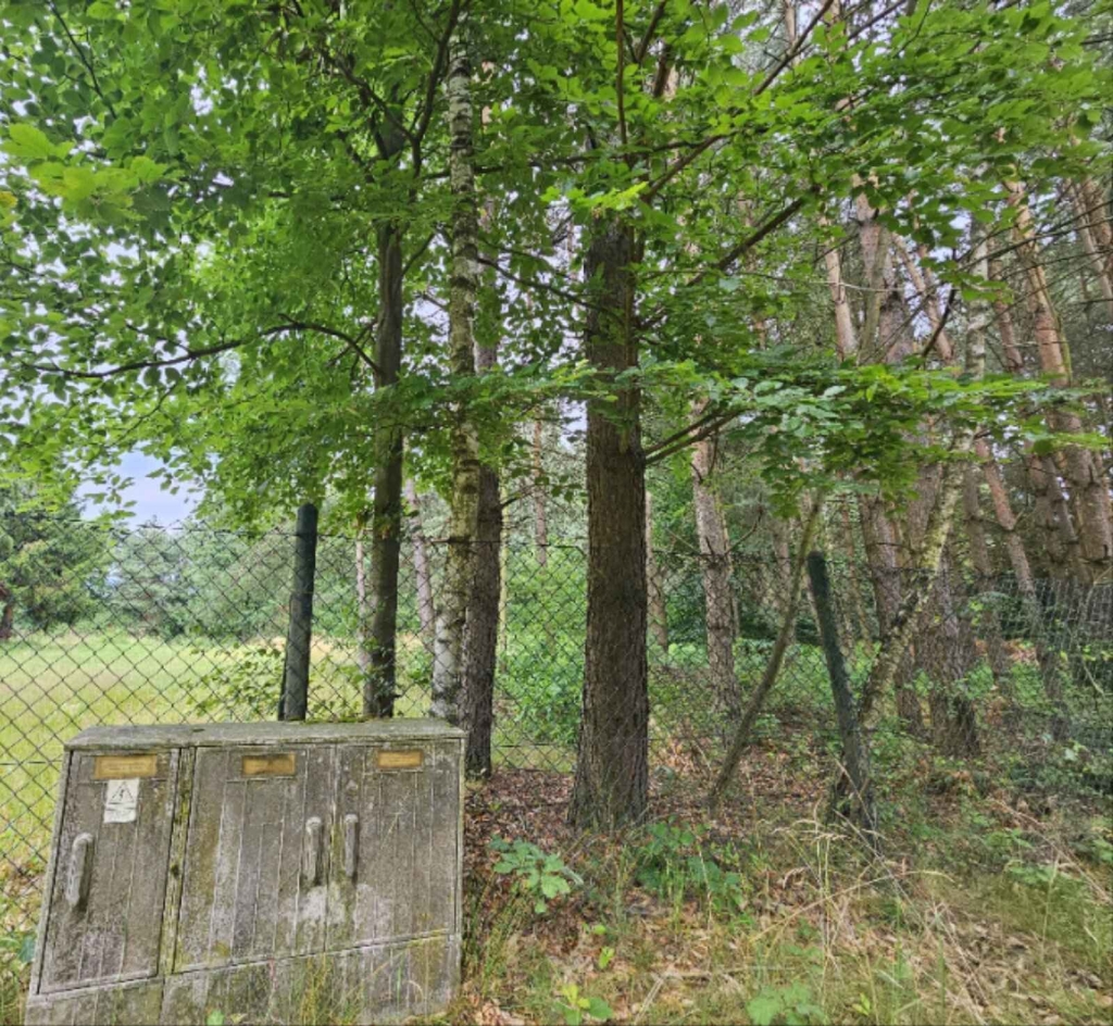 Działka budowlana (6000 m2) JEZIORO/LAS (Drogoszowice) Drogoszowice - zdjęcie 12