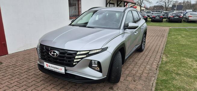 Hyundai Tucson KAMERA-AUTOMAT-LED-MEDIA Paproć - zdjęcie 3