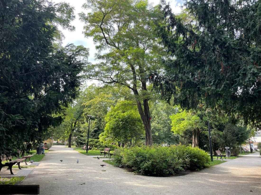 2pok, 69met, Okolice Wandy ROZKŁAD/BALKON/PIWNICA (Wrocław) Krzyki - zdjęcie 7