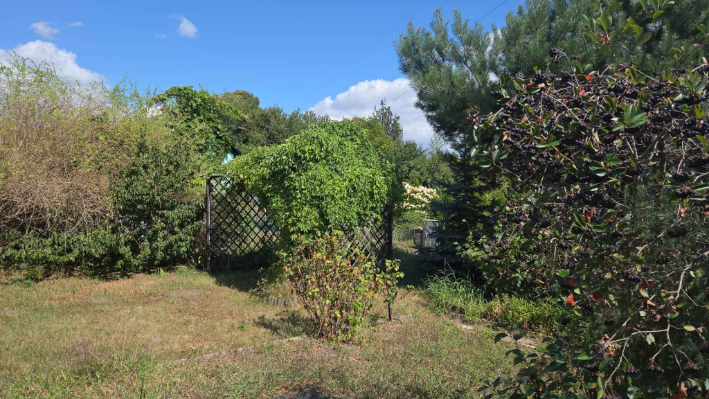 Działka ROD z murowaną altaną Kędzierzyn-Koźle - zdjęcie 8