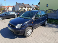 Ford Fusion 2005 1.25 Stan Dobry świeży przeglad