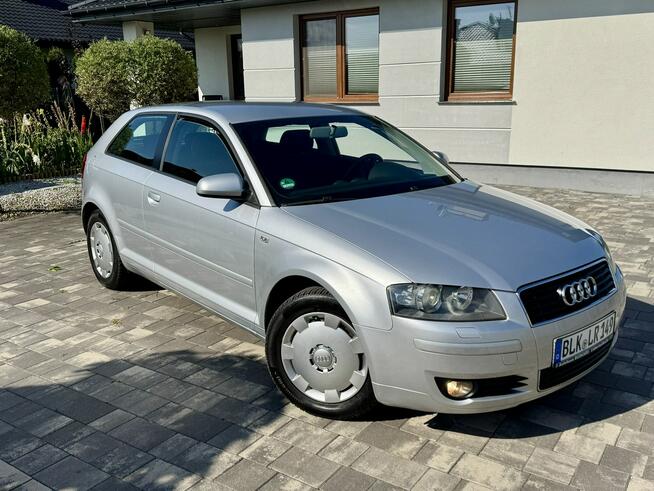 Audi 3 1,6 mpi 102 Konie Xenon tylko 155 tys km Śliczna ! Szerominek - zdjęcie 1