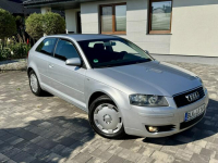 Audi 3 1,6 mpi 102 Konie Xenon tylko 155 tys km Śliczna !