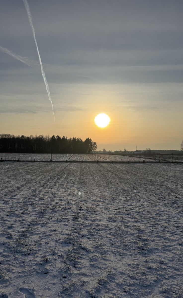 Atrakcyjne Działki Rafałówka Rafałówka - zdjęcie 6