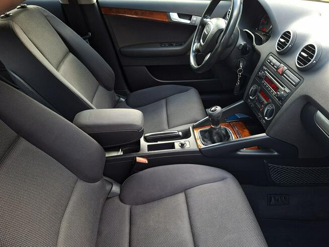 Audi A3 * 1.9TDi* czarny* 5DRZWI* bdb stan* KLIMA* alufelgi * Olsztyn - zdjęcie 10