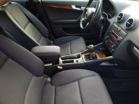 Audi A3 * 1.9TDi* czarny* 5DRZWI* bdb stan* KLIMA* alufelgi * Olsztyn - zdjęcie 10