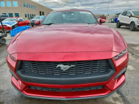 Ford Mustang / 2.3 317KM / Niski przebieg / Automat / Tarnów - zdjęcie 3