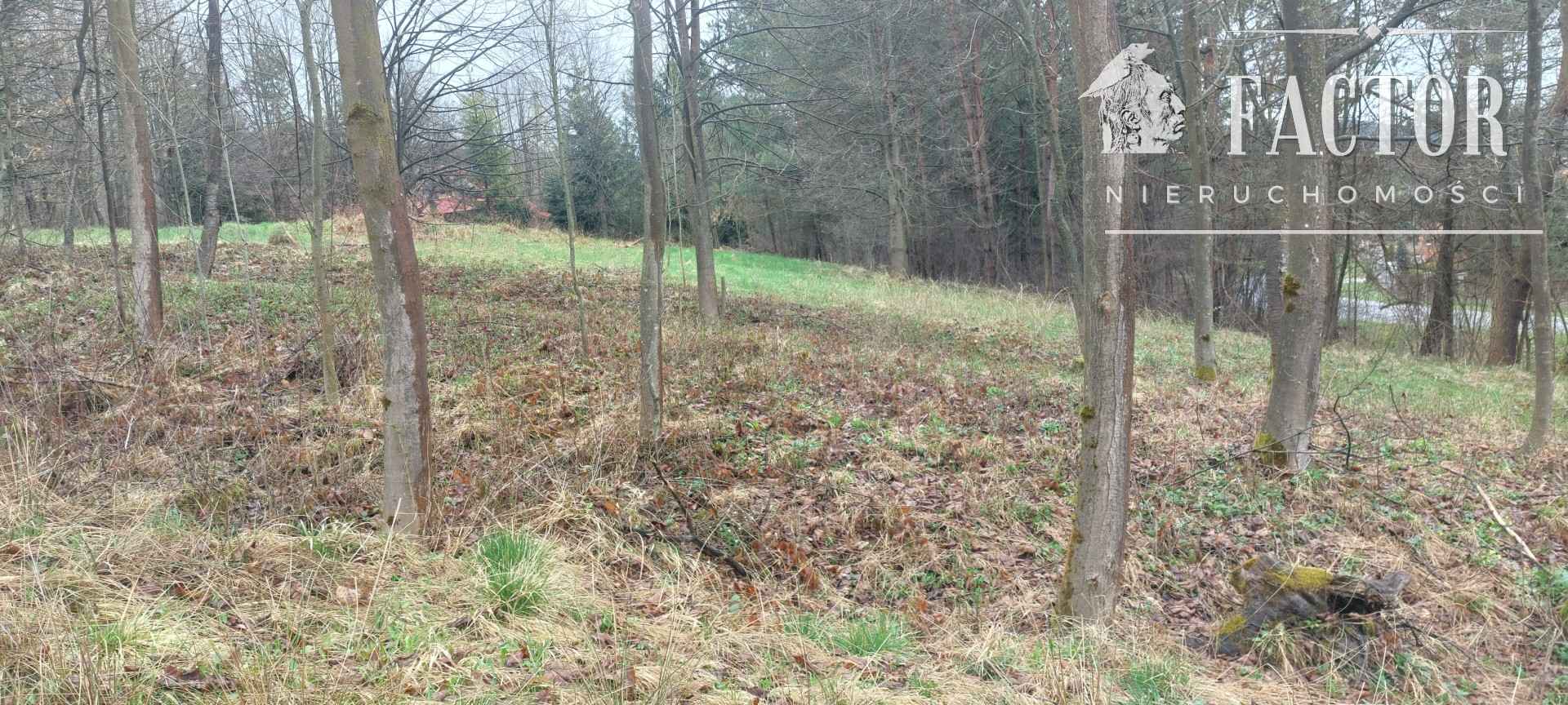 Kunkowa działka budowlana 30 a 1146S Kunkowa - zdjęcie 2