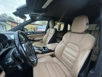 CAYENNE PLATINUM EDITION Słupsk - zdjęcie 10
