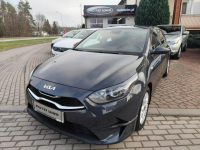 Kia Cee'd 2023/SALON POLSKA/stan bdb/gwarancja
