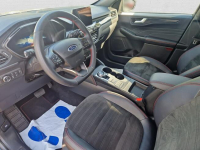 Ford Kuga 2.5 FHEV FWD ST-Line X ! Z polsiego salonu! FV 23% Warszawa - zdjęcie 12