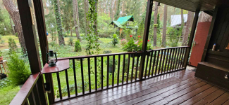 Działka leśna Topolina gmina Wieliszew Topolina - zdjęcie 7