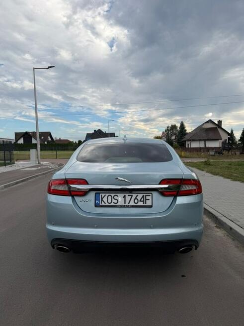 Jaguar XF Mikołów - zdjęcie 11