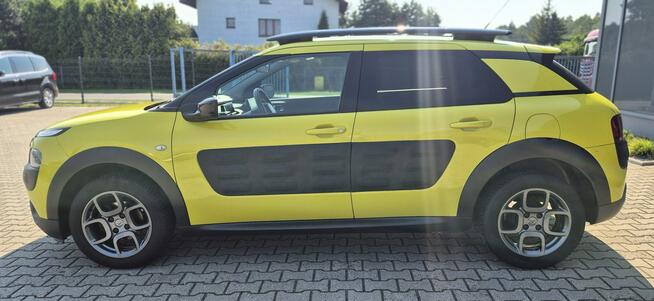 C4 Cactus  - Bezwypadkowy - Polska - Nawigacja Studzienice - zdjęcie 8