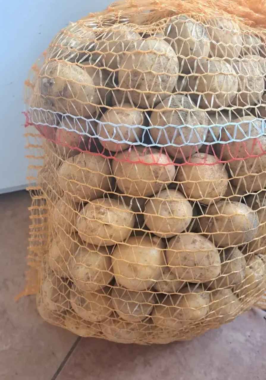 Ziemniaki jadalne GALA Nidzica - zdjęcie 1