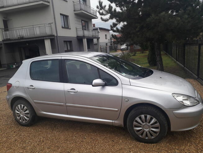 Peugeot 307 hdi Kolonia Poczesna - zdjęcie 1