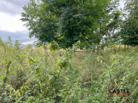 Działka budowlana – super miejsce do życia Dopiewiec - zdjęcie 2