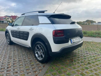 Citroen C4 Cactus 1.2 PureTech Shine Gdynia - zdjęcie 6