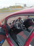 Ford Fiesta Psie Pole - zdjęcie 4
