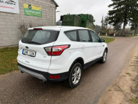 Ford Kuga 2019 Facelift Titanium 1.5 EcoBoost AWD 4x4175KM Automat Gąsocin - zdjęcie 5