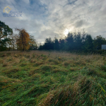 Działka budowlana Nieborów powiat łowicki Nieborów - zdjęcie 8