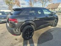 Citroen C4 Cactus 1.2Turbo 110KM Black Edition Gniewkowo - zdjęcie 11