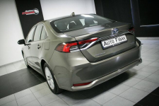 Toyota Corolla 1.8Hybrid*Comfort*Salon Polska*Bezwypadkowy*Vat23% Konstantynów Łódzki - zdjęcie 9