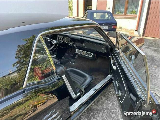 Ford Mustang 1966 – Oryginał po renowacji Radom - zdjęcie 2