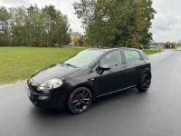 Fiat Punto Evo idealny