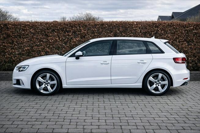 Audi A3 Sadlno - zdjęcie 5