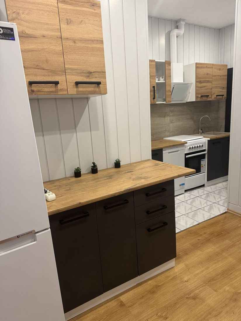 3pok, 62met, Okolice Mikołaja Reja PIWNICA (Wrocław) Śródmieście - zdjęcie 1