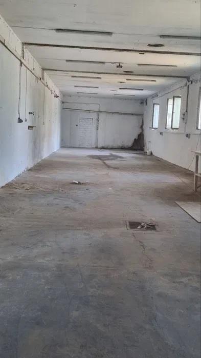 Lokal na wynajem Słupno Słupno - zdjęcie 5