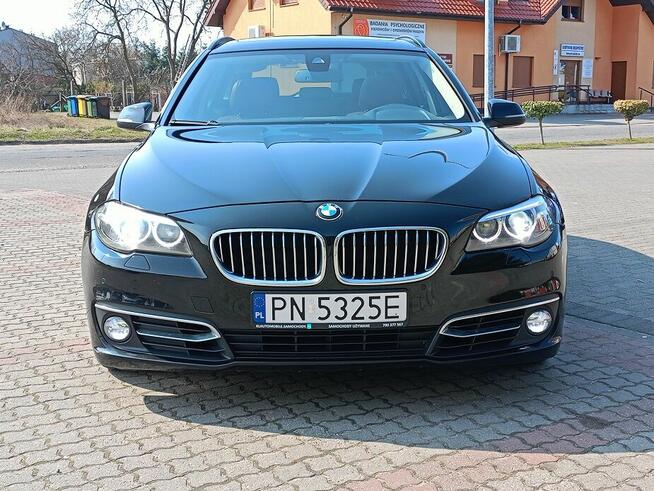 BMW Seria 5 530d 258KM Automat Panorama Skóra BiXenon Zareje Słupca - zdjęcie 2
