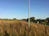 Działka na sprzedaż Golęczewo Golęczewo - zdjęcie 9