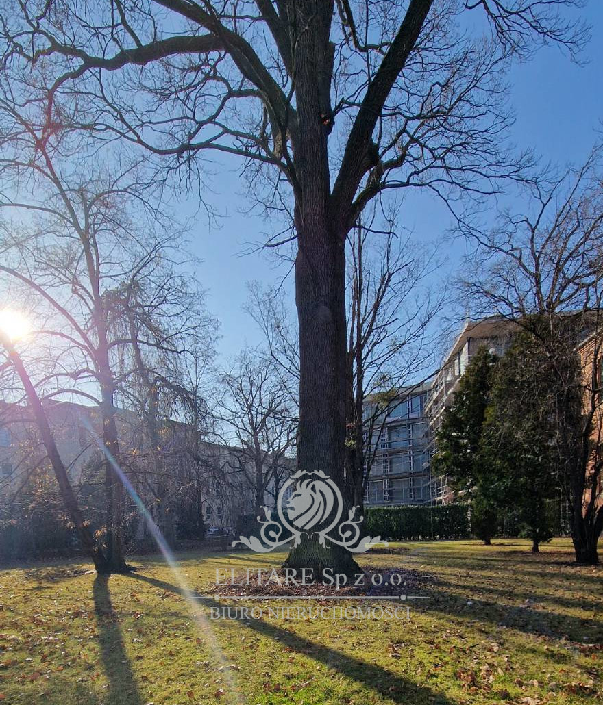 Prestiżowy Apartament w centrum Wrocław Borek Wrocław - zdjęcie 3