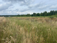 Działki budowlane z WZ, w zielonej części Poznania Poznań - zdjęcie 5