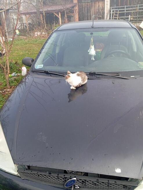 Sprzedam auto Sandomierz - zdjęcie 2