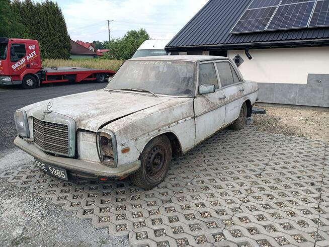 Mercedes W115 2.0D 72r Tarnów - zdjęcie 2