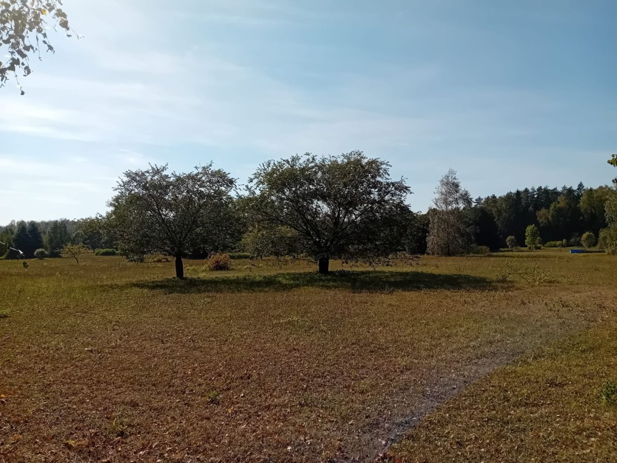 Działka budowlana Słójka Słójka - zdjęcie 6