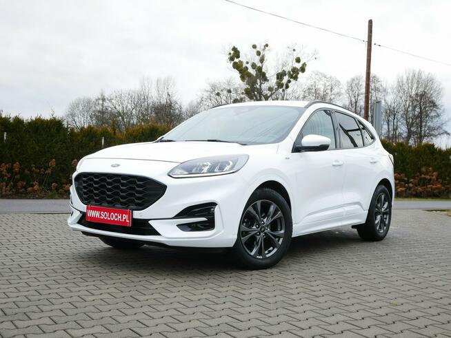 Ford Kuga 2.0 EcoBlue 120KM Eu6 St-Line -Automat 8b. -Zobacz Goczałkowice-Zdrój - zdjęcie 1