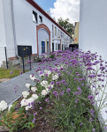 Piękny apartament w dworku na Krzykach/Wojszyce Wrocław - zdjęcie 3