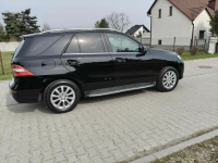 MERCEDES ML 250 CDI / 4-MATIC / HAK / CZARNY / OKAZJA Ostrów Wielkopolski - zdjęcie 9
