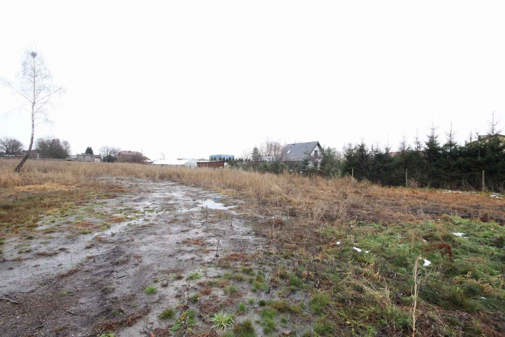 Działka Budowlana (6600 m2) okolice Różanej (Syców) Syców - zdjęcie 12