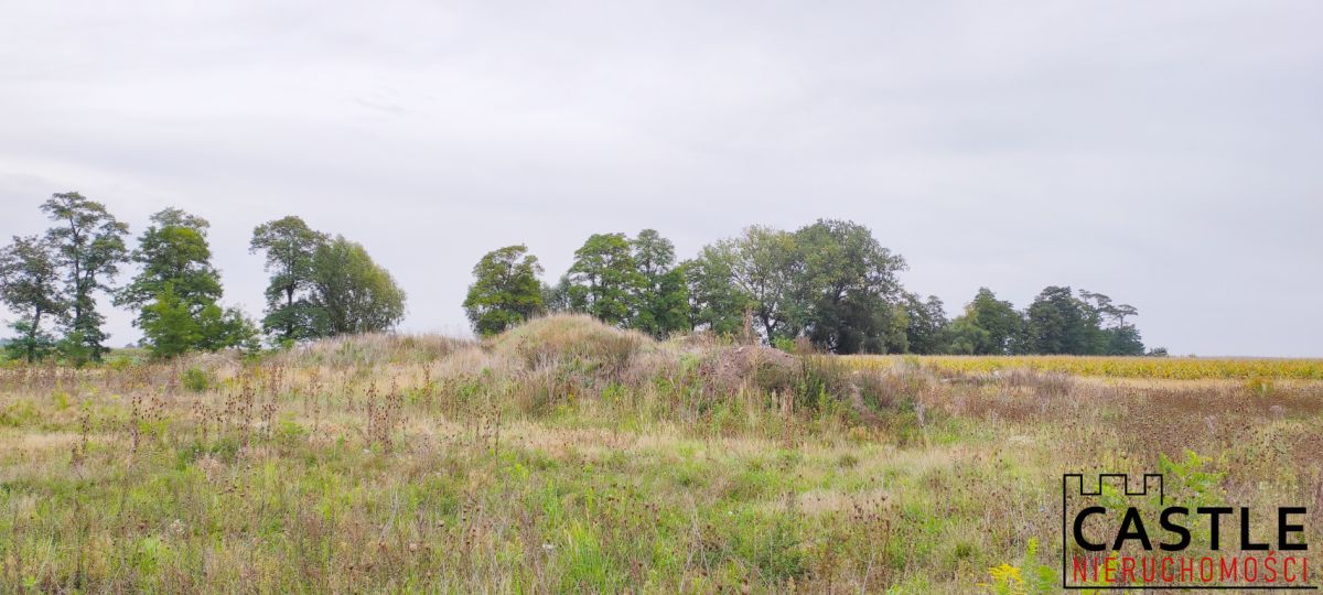 Działki pod budowę hali z biurem - inwestycja! Chomęcice - zdjęcie 2