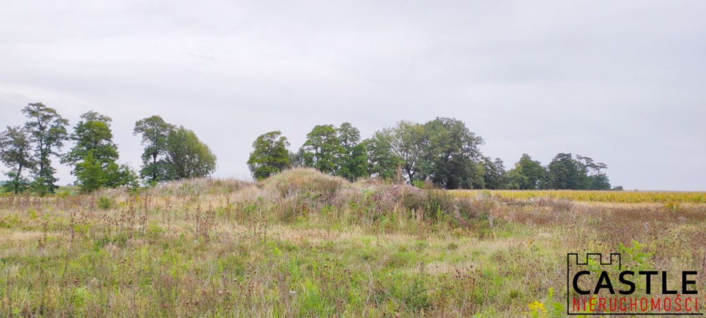 Działki pod budowę hali z biurem - inwestycja! Chomęcice - zdjęcie 2