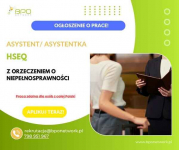 Asystent/Asystentka HSEQ z orzeczeniem  zdalnie cała Polska Ochota - zdjęcie 2