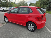 Volkswagen Polo Oryginał Stan Bezwypadkowy I Lakier Zielona Łąka - zdjęcie 6