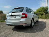 Škoda Octavia Kombi 2.0 TDI 150 KM DSG, 2019 Ostrów Wielkopolski - zdjęcie 3