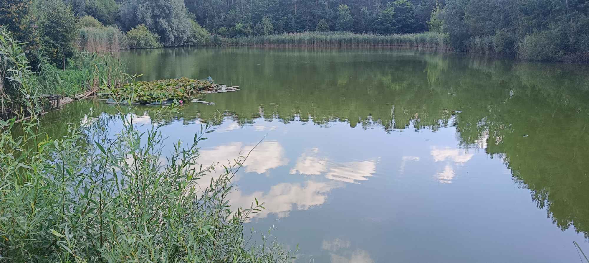 Posesja rekreacyjna stawy rybne Okuninka - zdjęcie 2